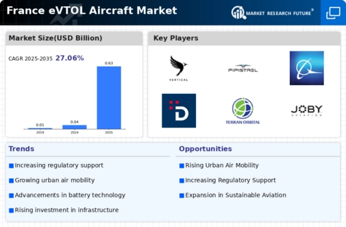 France Evtol Aircraft Market Infographic