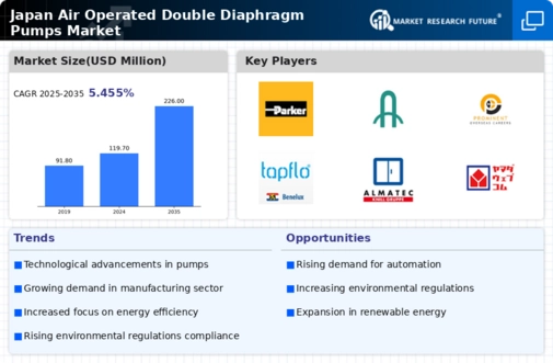 Japan Air Operated Double Diaphragm Pumps Market Infographic