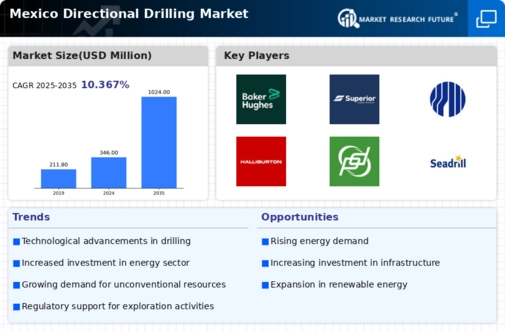 Mexico Directional Drilling Market Infographic