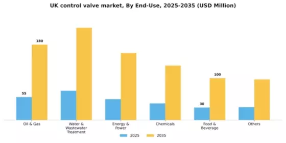 UK Control Valve Market Segment Image 1