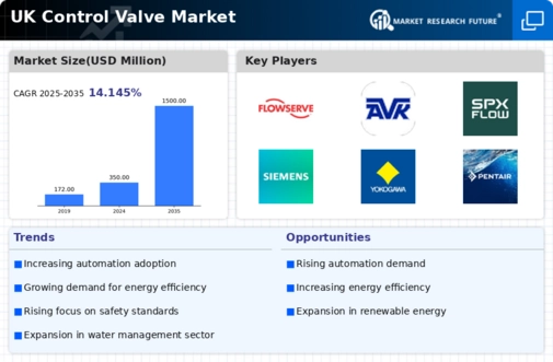 UK Control Valve Market Infographic