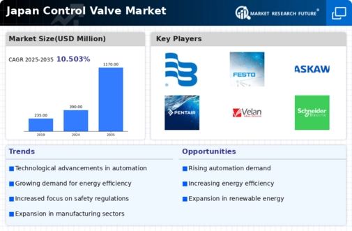 Japan Control Valve Market Infographic