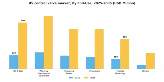 US Control Valve Market Segment Image 1