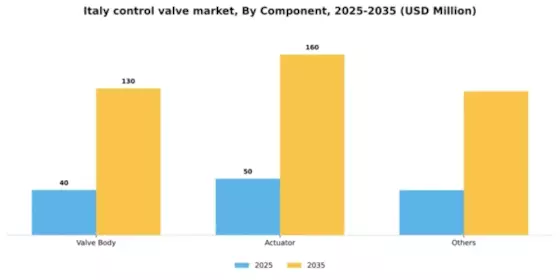 Italy Control Valve Market Segment Image 0