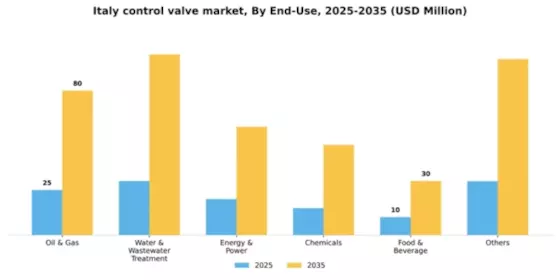 Italy Control Valve Market Segment Image 1