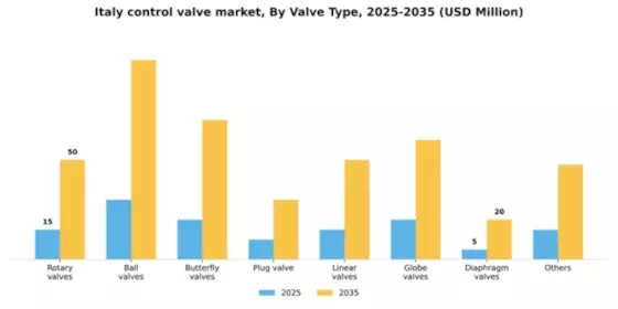 Italy Control Valve Market Segment Image 5