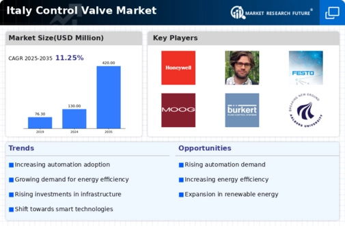 Italy Control Valve Market Infographic
