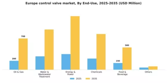Europe Control Valve Market Segment Image 1