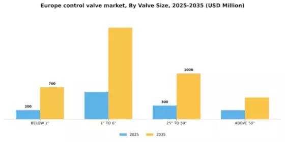 Europe Control Valve Market Segment Image 4