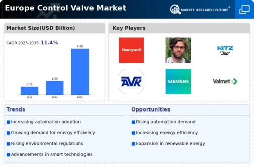 Europe Control Valve Market Infographic