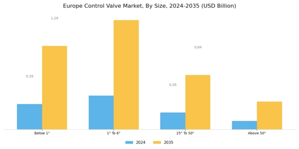 Europe Control Valve Market Segment Image 1