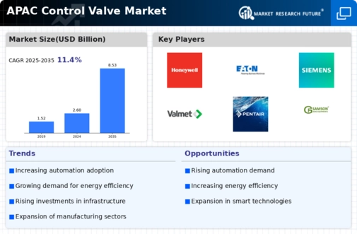 APAC Control Valve Market Infographic