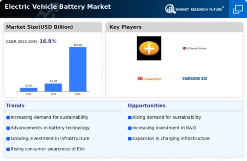 Electric Vehicles Battery Market Infographic