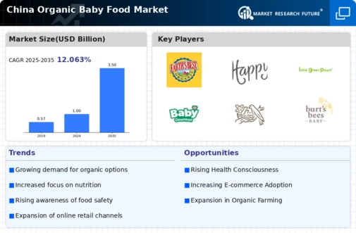 China Organic Baby Food Market Infographic