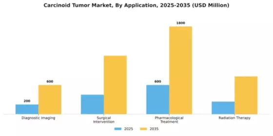 Carcinoid Tumor Market Segment Image 0