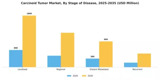 Carcinoid Tumor Market Segment Image 2