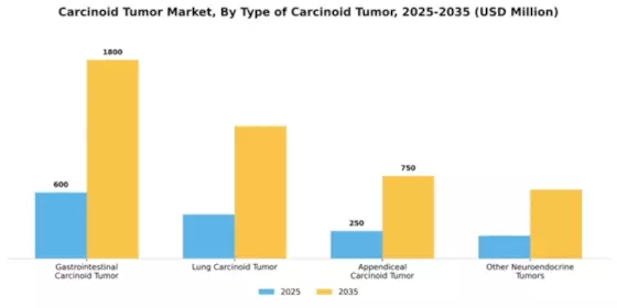 Carcinoid Tumor Market Segment Image 4