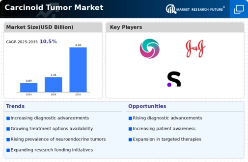 Carcinoid Tumor Market Infographic