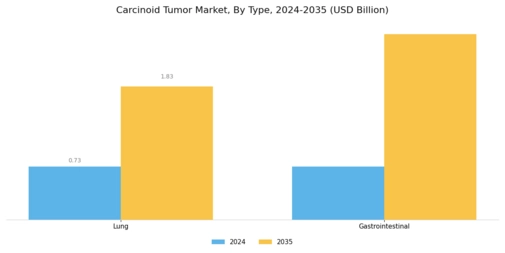 Carcinoid Tumor Market Segment Image 0