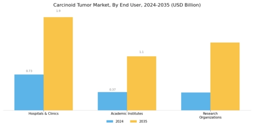 Carcinoid Tumor Market Segment Image 2
