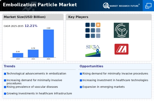Embolization Particle Market Infographic