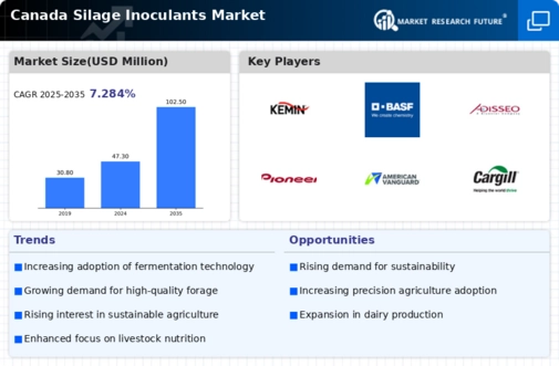 Canada Silage Inoculants Market Infographic
