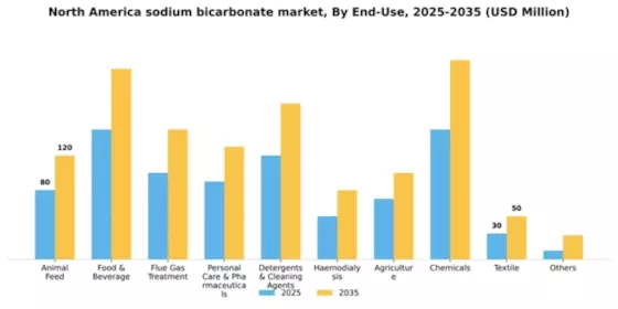 North America Sodium Bicarbonate Market Segment Image 0