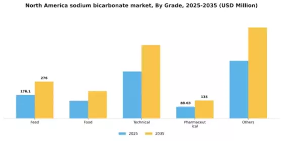 North America Sodium Bicarbonate Market Segment Image 1