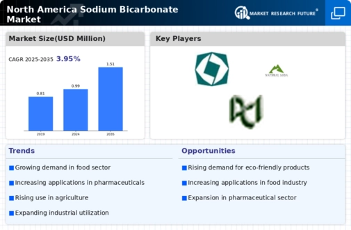 North America Sodium Bicarbonate Market Infographic