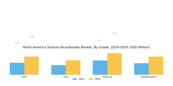 North America Sodium Bicarbonate Market Segment Image 0