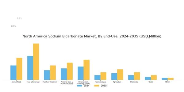 North America Sodium Bicarbonate Market Segment Image 1