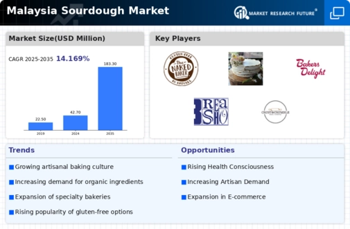 Malaysia Sourdough Market Infographic
