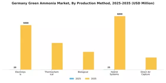 Germany Green Ammonia Market Segment Image 2