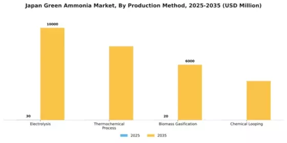 Japan Green Ammonia Market Segment Image 3