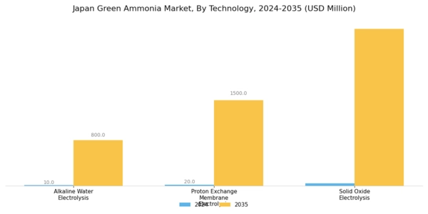 Japan Green Ammonia Market Segment Image 0