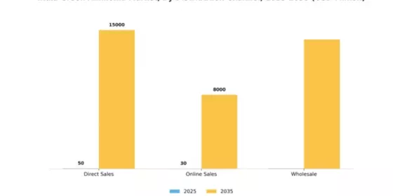India Green Ammonia Market Segment Image 1