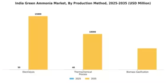 India Green Ammonia Market Segment Image 3