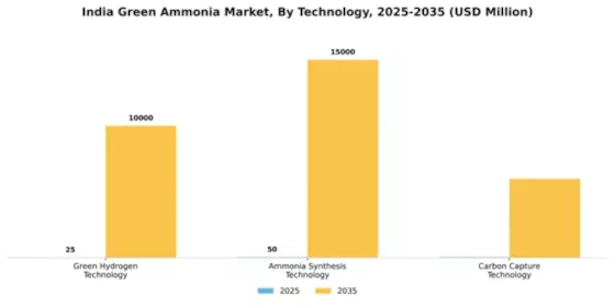 India Green Ammonia Market Segment Image 4