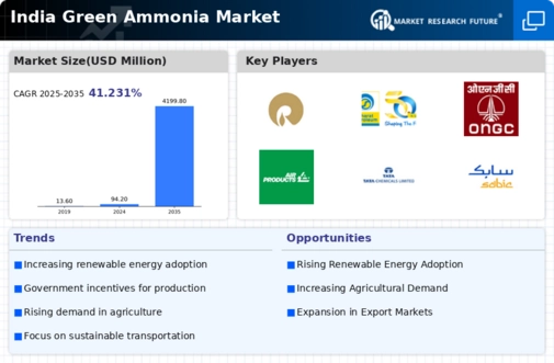 India Green Ammonia Market Infographic