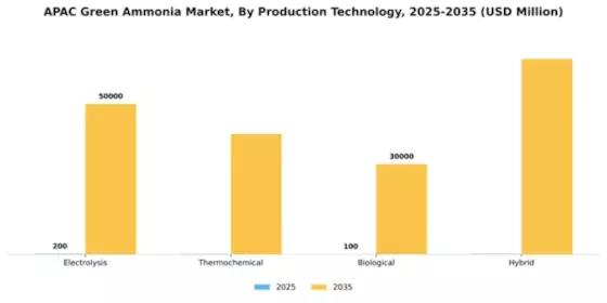 APAC Green Ammonia Market Segment Image 3