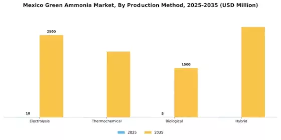Mexico Green Ammonia Market Segment Image 3