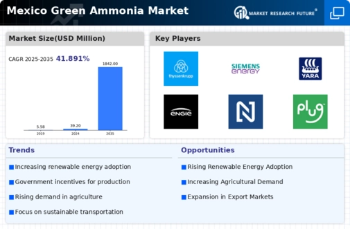 Mexico Green Ammonia Market Infographic
