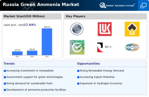 Russia Green Ammonia Market Infographic