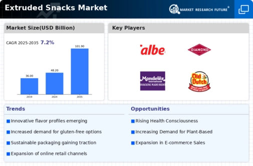 Extruded Snacks Market Infographic