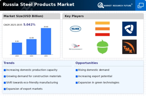 Russia Steel Products Market Infographic