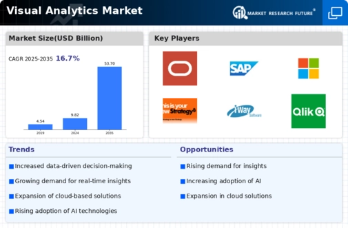 Visual Analytics Market Infographic