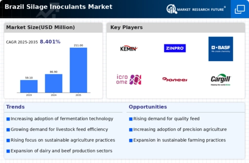 Brazil Silage Inoculants Market Infographic