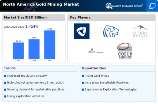 North America Gold Mining Market Infographic