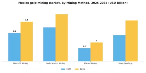 Mexico Gold Mining Market Segment Image 2