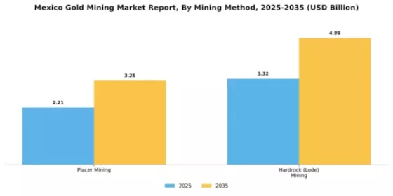 Mexico Gold Mining Market Segment Image 1